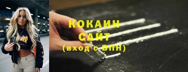 гашик Горняк
