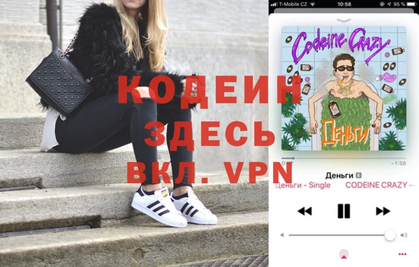 гашик Горняк