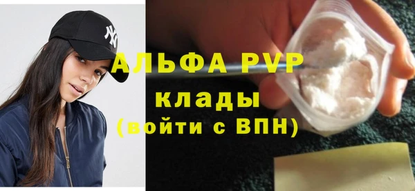 гашик Горняк