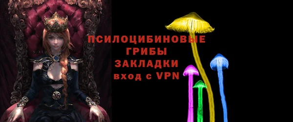 гашик Горняк