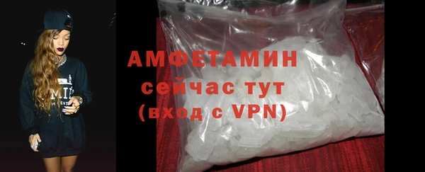 гашик Горняк