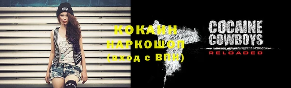 гашик Горняк