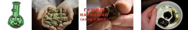 гашик Горняк